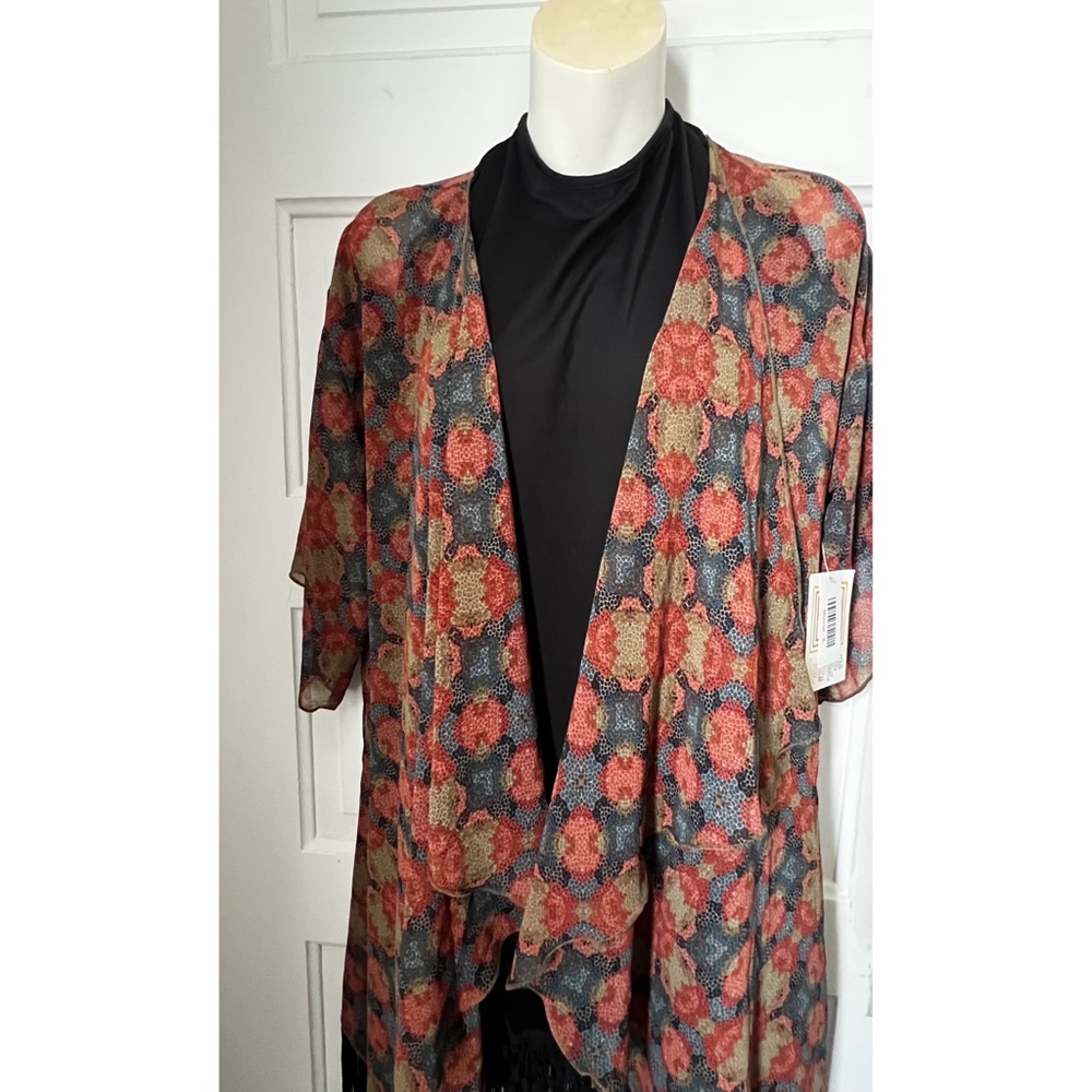 NWT Sheer Fringe Kimono